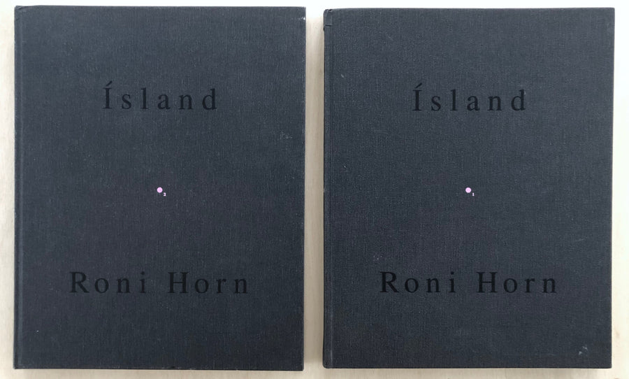 ISLAND / TO PLACE: POOLING WATERS, BOOK IV (2 VOLUMES) by Roni Horn
