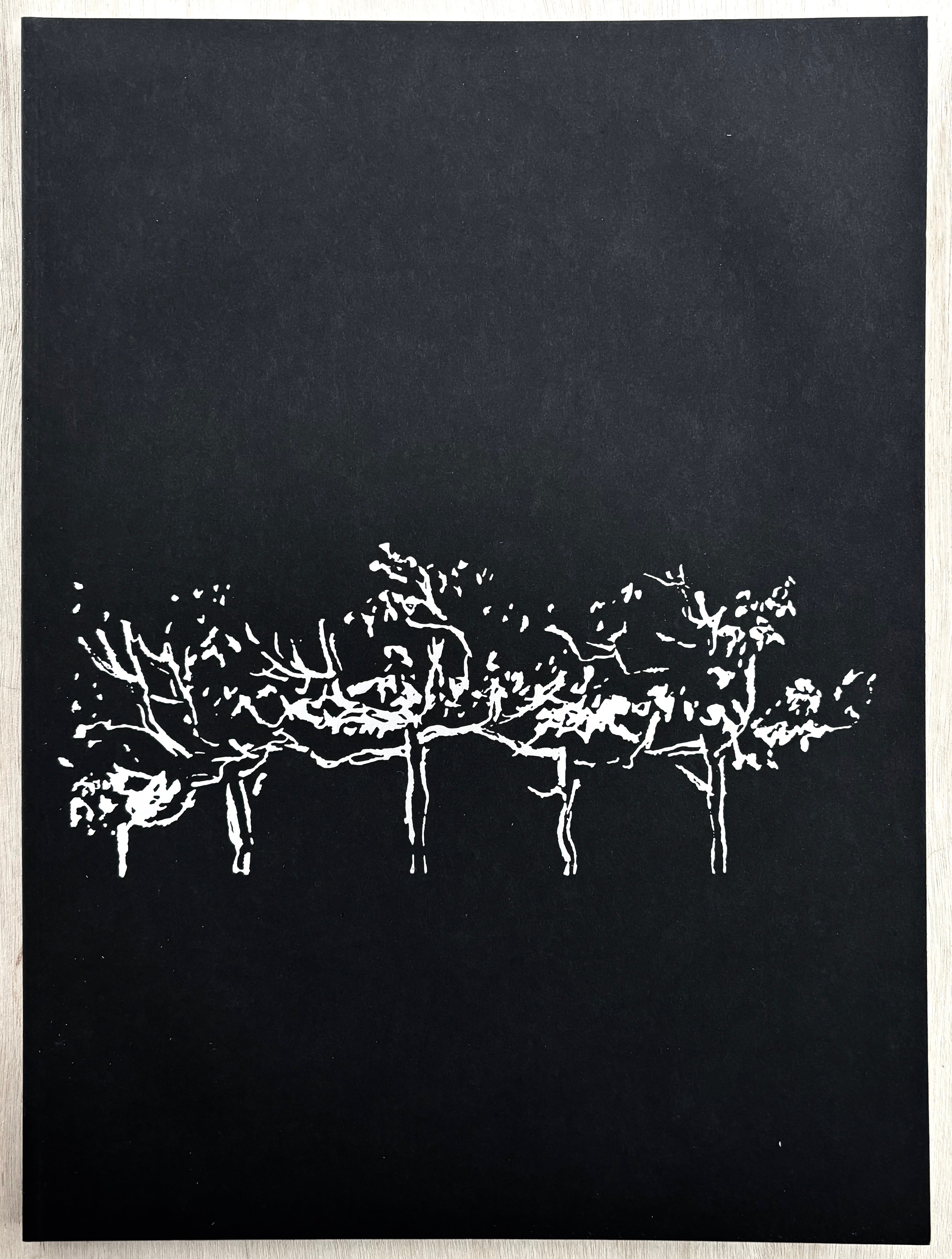The Notebooks and Drawings of Louis I. Kahn: Facsimile Edition and Reader's Guide [ハードカバー] Wurman， Richard Saul; Feldman， Eugene THE NOTEBOOKS AND DRAWINGS OF LOUIS I. KAHN (FACSIMILE EDITION