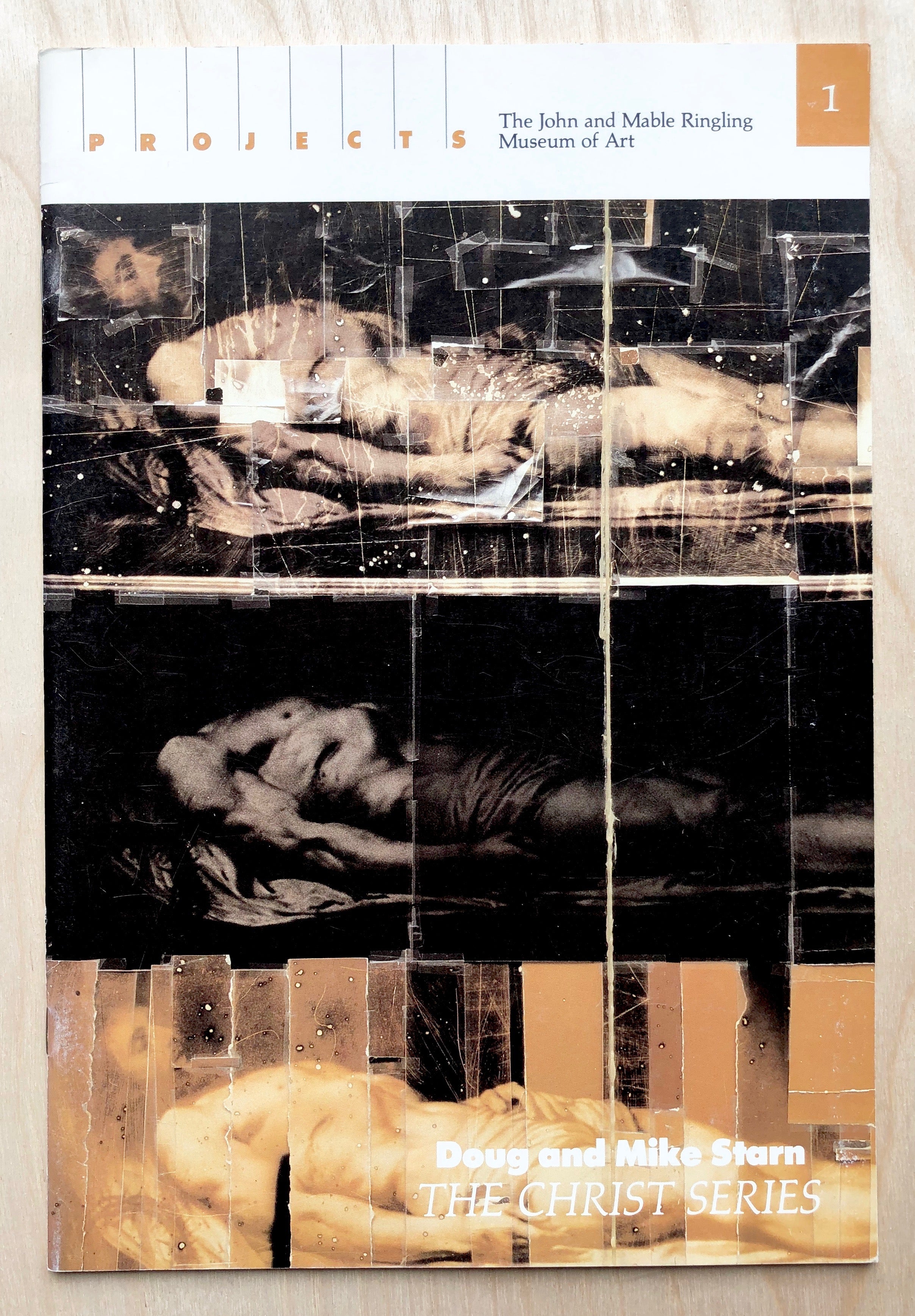 MIKE AND DOUG STARN: THE CHRIST SERIES (PROJECTS #1) text by