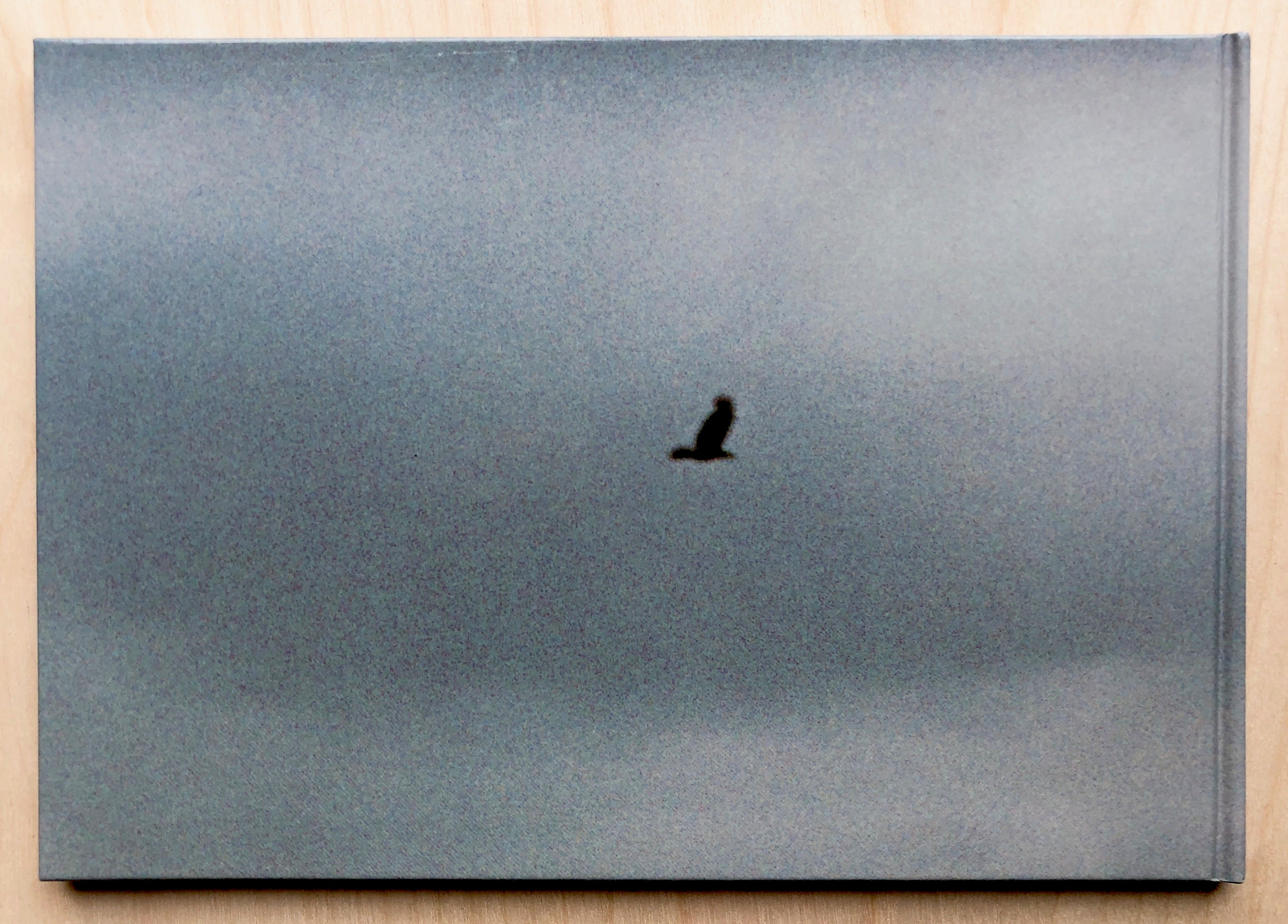 A BIRD (BLAST # 130) by Naoya Hatakeyama