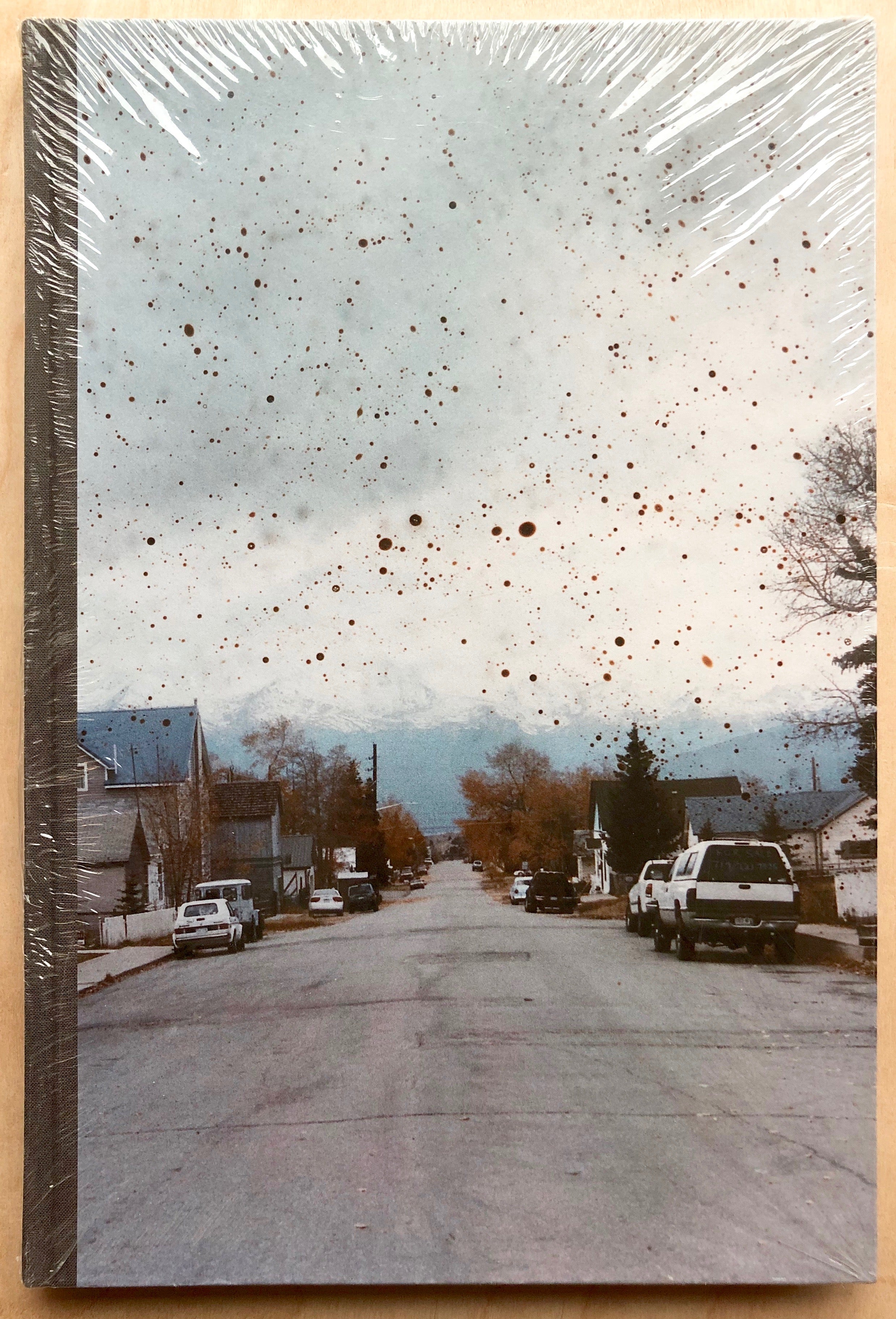 THE GREAT UNREAL by Taiyo Onorato & Nico Krebs (First