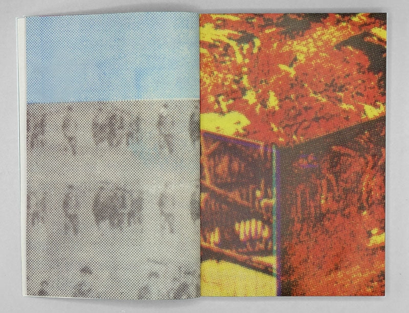 THE DETROIT PRINTING CO-OP: THE POLITICS OF THE JOY OF PRINTING, edited by Danielle Aubert
