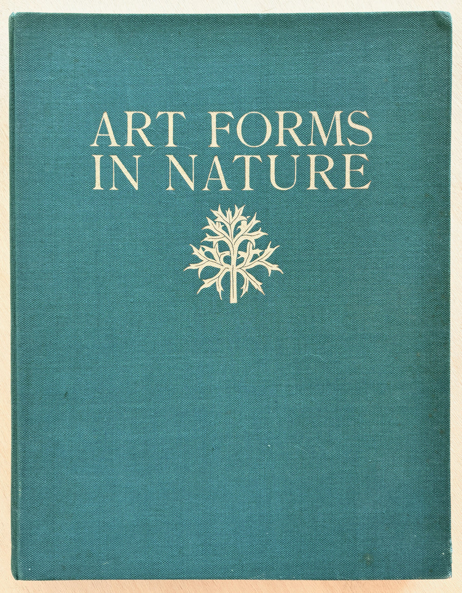 ART FORMS IN NATURE: EXAMPLES FROM THE PLANT WORLD PHOTOGRAPHED DIRECT FROM NATURE by Karl Blossfeldt