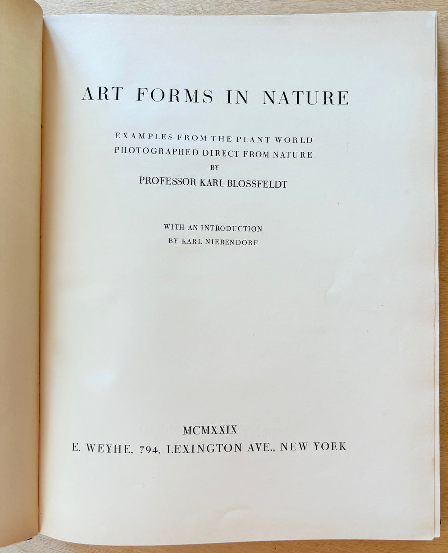 ART FORMS IN NATURE: EXAMPLES FROM THE PLANT WORLD PHOTOGRAPHED DIRECT FROM NATURE by Karl Blossfeldt