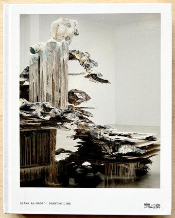 DIANA AL HADID: PHANTOM LIMB text by Allison Maya