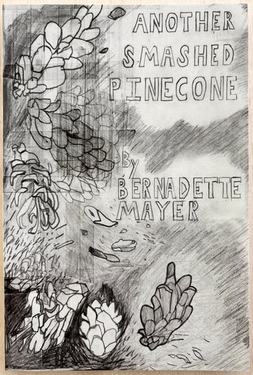 ANOTHER SMASHED PINECONE by Bernadette Mayer