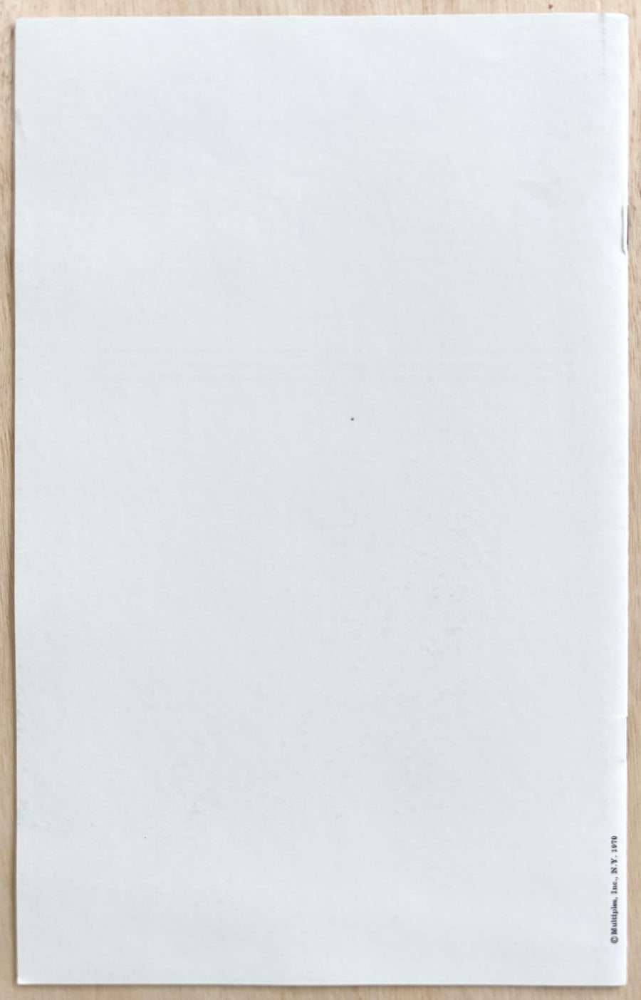 TWO PARALLEL ESSAYS by Dan Graham