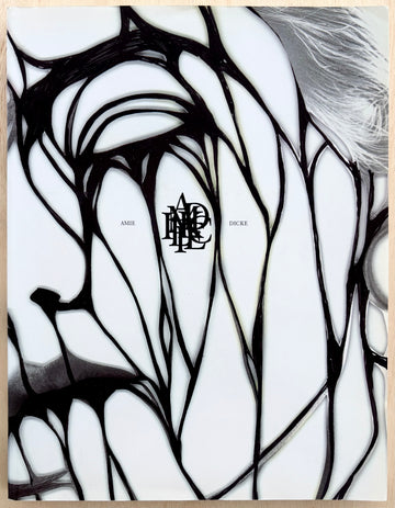 VOID , by Amie Dicke