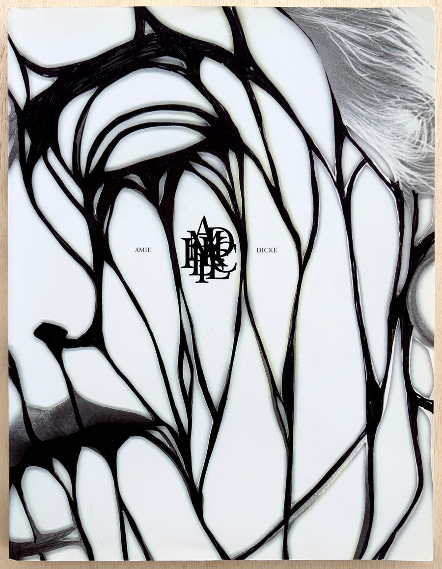 VOID , by Amie Dicke