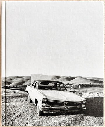 THE WHITE SKY by Mimi Plumb