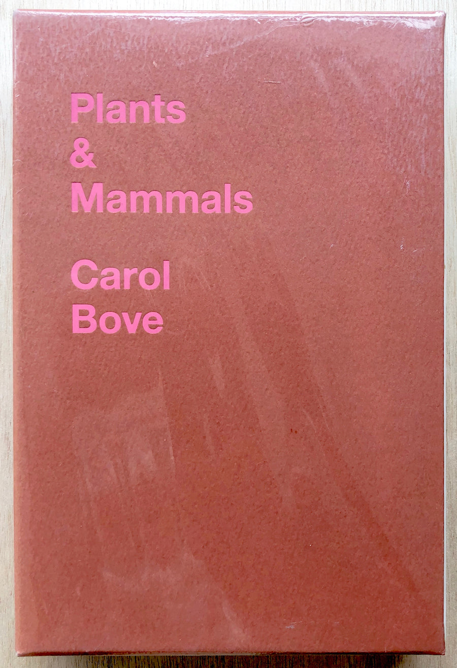 PLANTS & MAMMALS / TWENTIETH CENTURY NARCISSUS by Carol Bove