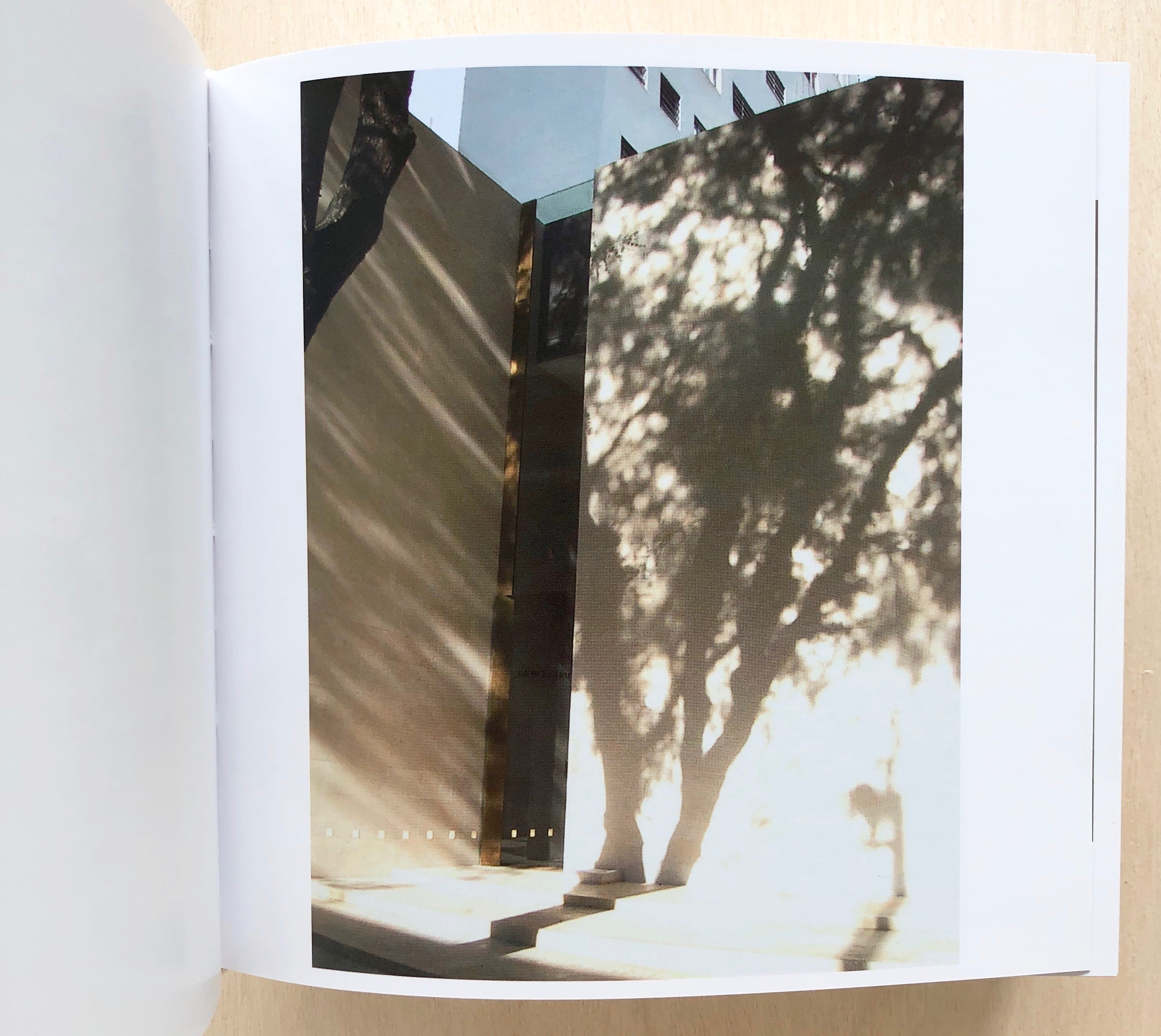 EYE CLAUDIO by Claudio Silvestrin (SIGNED) – Familiar Trees