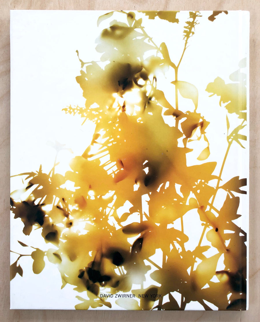 JAMES WELLING: FLOWERS Edited by Denise Bratton, Text by Lynne Tillman