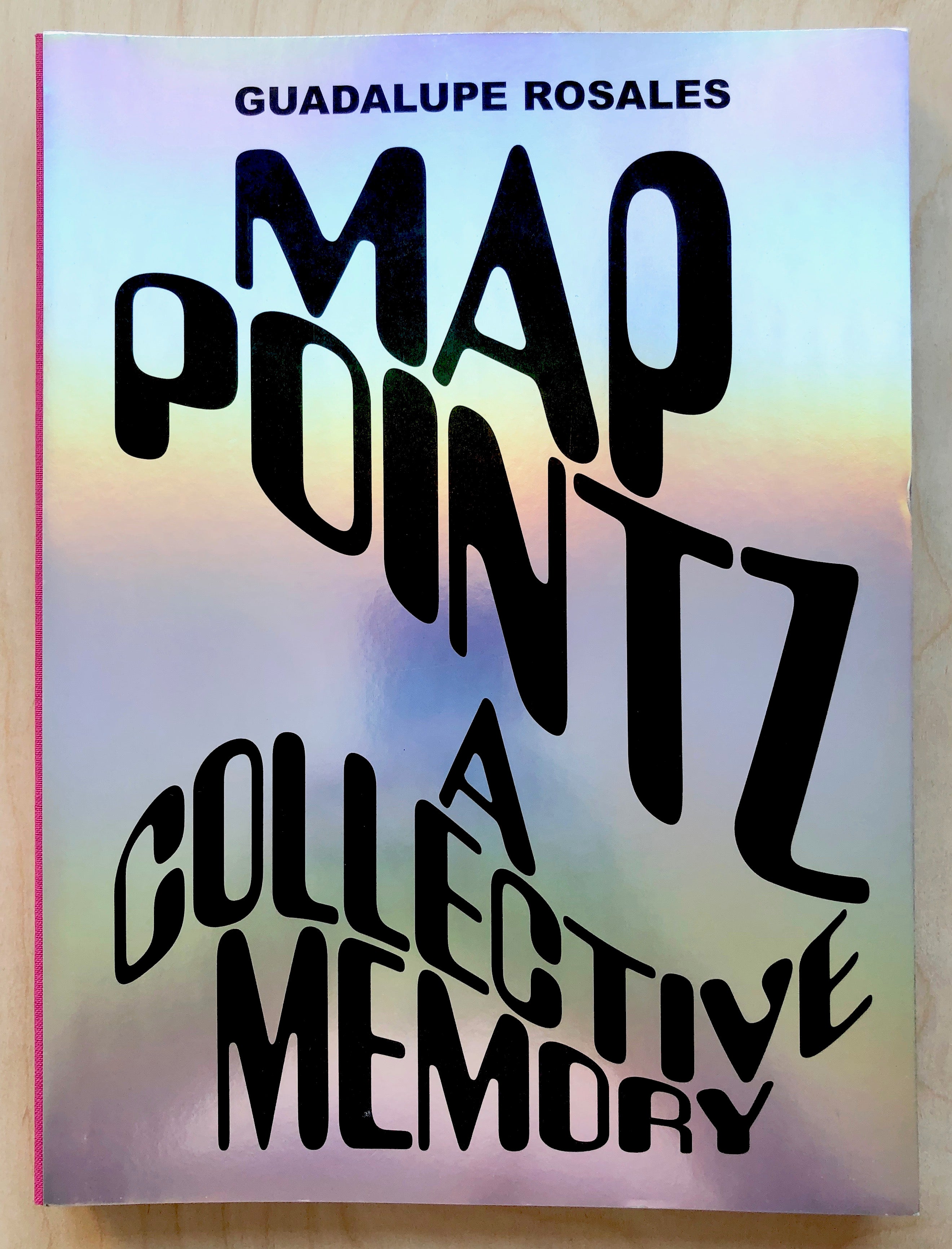 MAP POINTZ: A COLLECTIVE MEMORY by Guadalupe Rosales – Familiar Trees