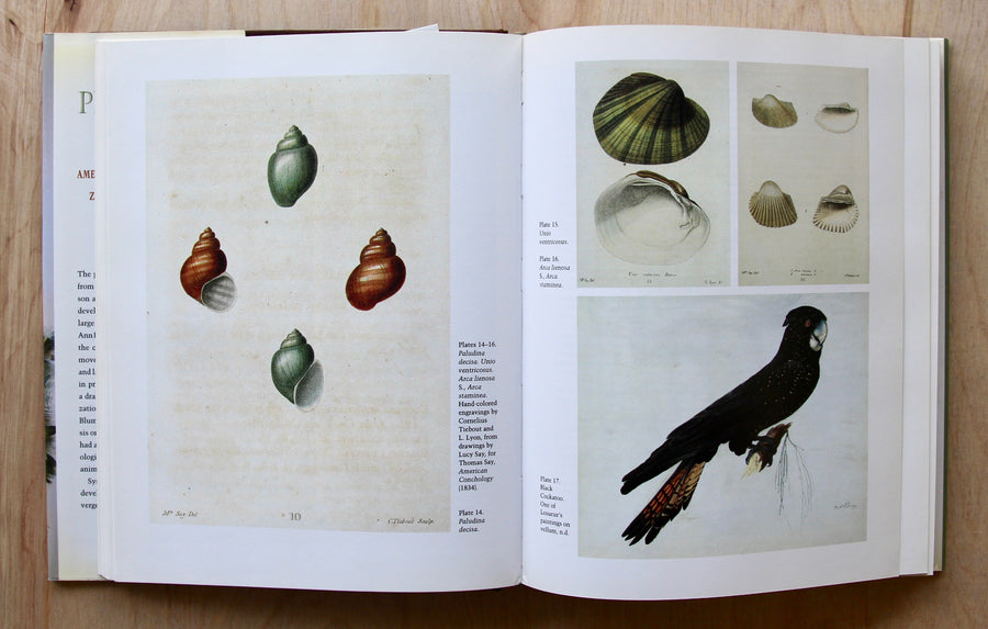 PICTURING NATURE: AMERICAN NINETEENTH-CENTURY ZOOLOGICAL ILLUSTRATION by Ann Shelby Blum