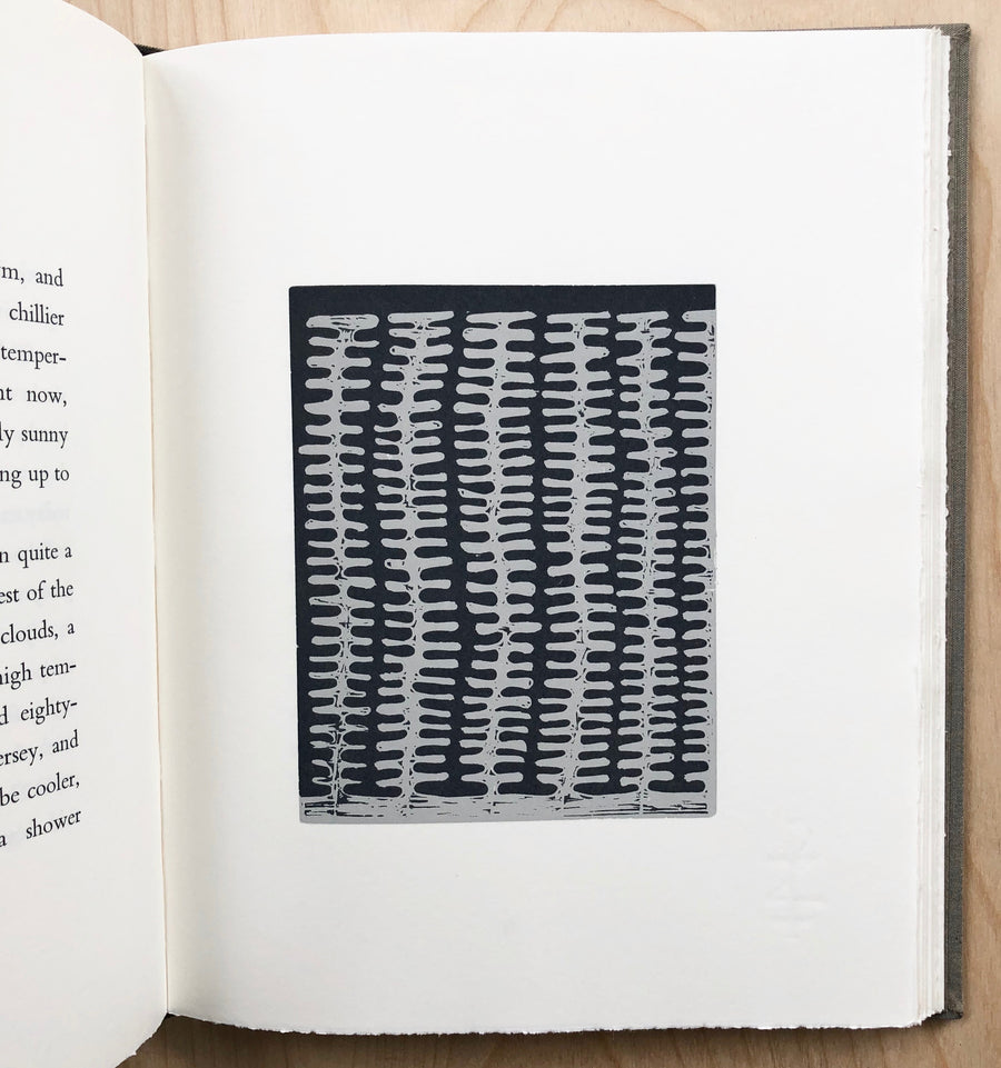 SPRING by Kenneth Goldsmith with wood engravings by James Sienna