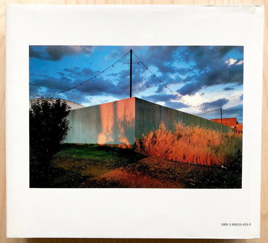 NEW COLOR/ NEW WORK: EIGHTEEN PHOTOGRAPHIC ESSAYS by Sally Eauclaire