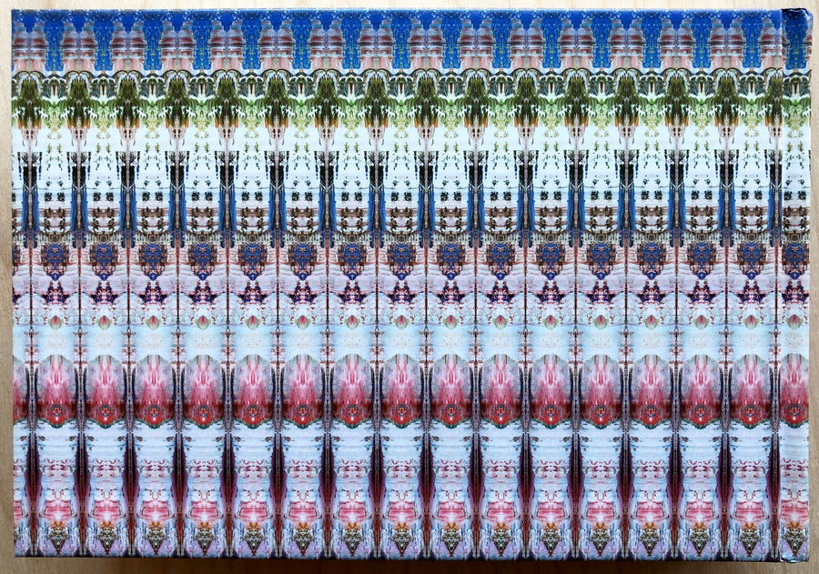 GERHARD RICHTER: PATTERNS: DIVIDED, MIRRORED, REPEATED